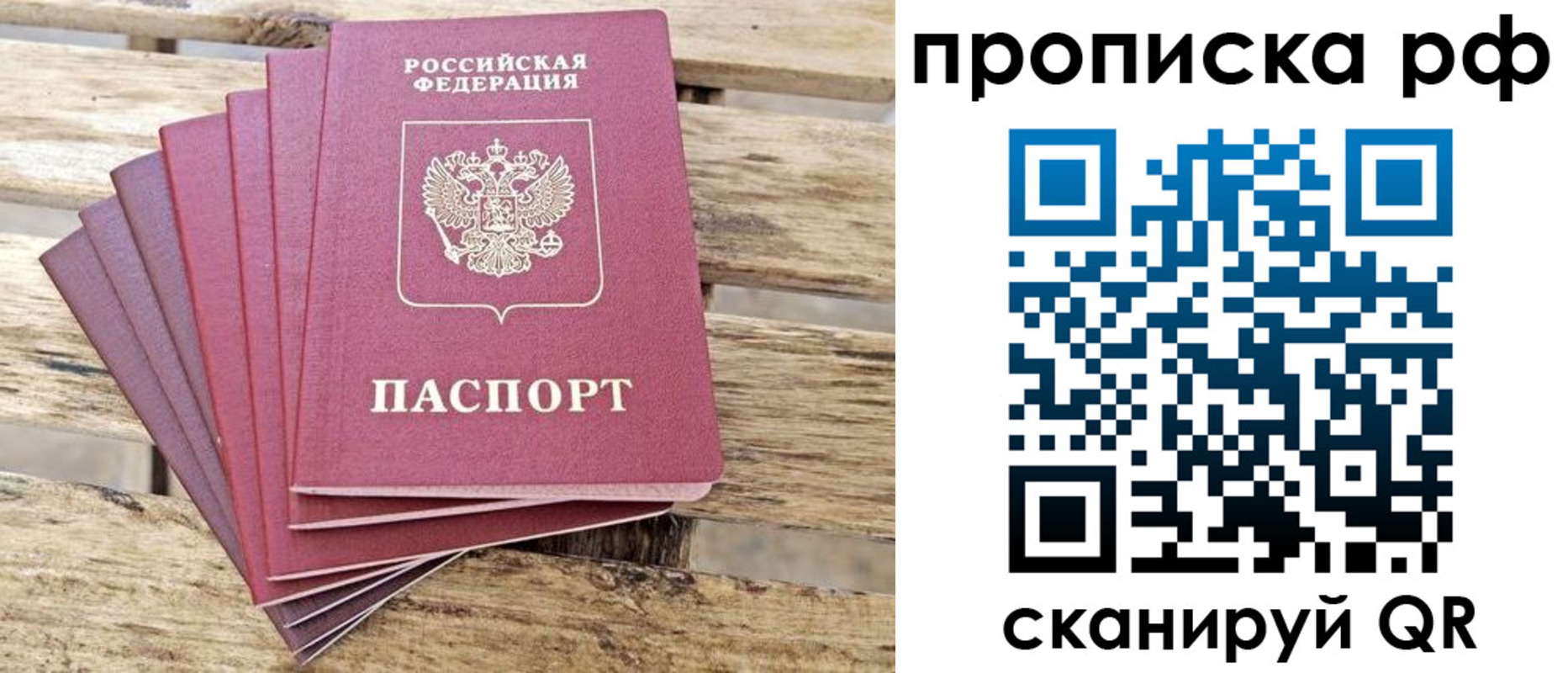 прописка гарантия в Зеленогорске